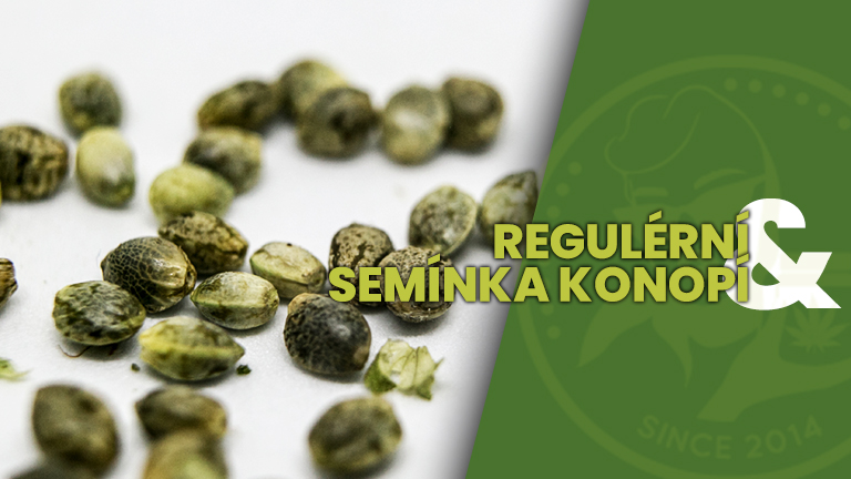 Growmart.cz | Growshop Growmart