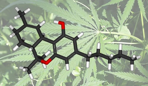 growmart-thc-cannabis