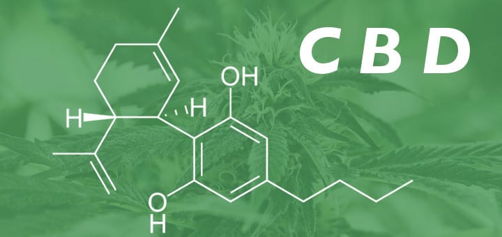 cbd-odrudy-konopi-growmart
