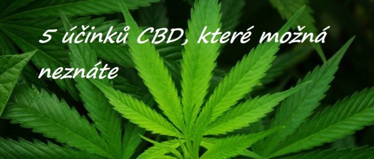 5 zajímavostí o CBD