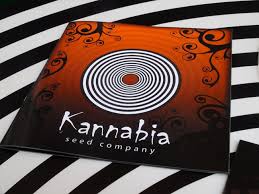 growmart-semena-kannabia