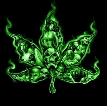 konopí-léčí-rakovinu-growshop-growmart