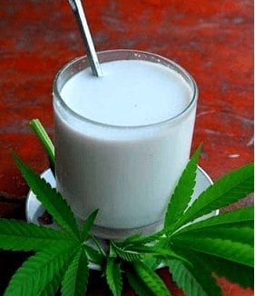 mléko-konopné