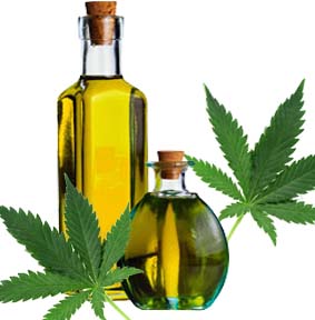 olej z konopí
