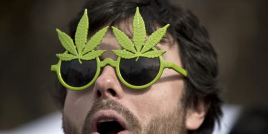 growmart-legalizace-konopi