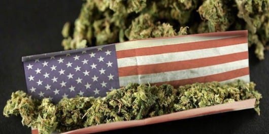 legalizace-léčebného-konopí-v-usa-growshop-growmart