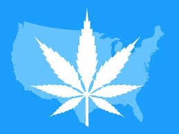 Legalizace konopí v USA
