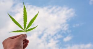 legalizace přináší naději