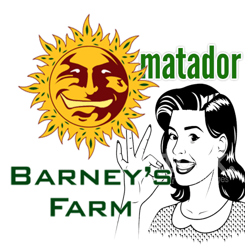 barneys farm semínka marihuany