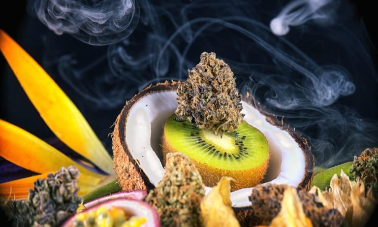 Terpeny
