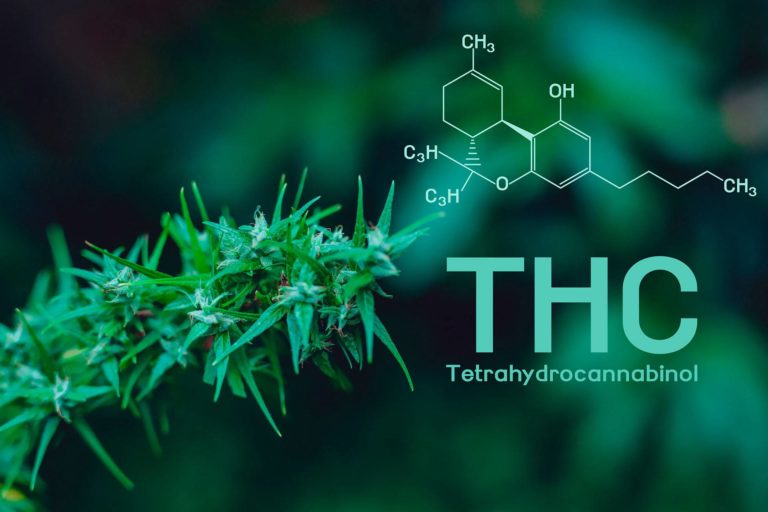 vedlejší účinky THC