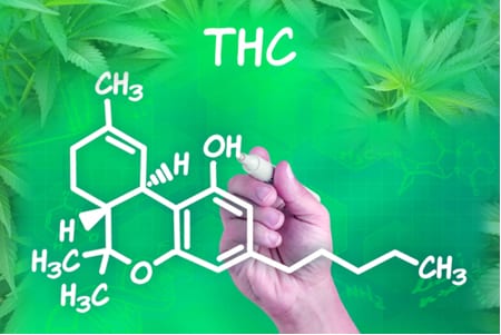 growmart-growshop-vzorec-thc