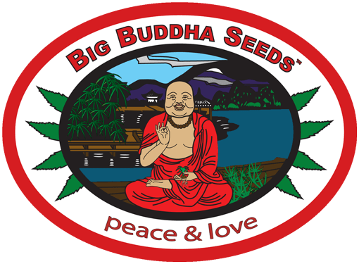BigBuddhaSeeds_seedbank
