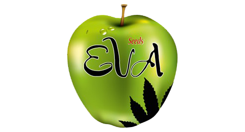 EVA_Seeds_seedbanka