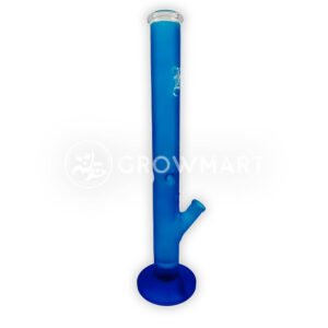 Blue_Bongo_2