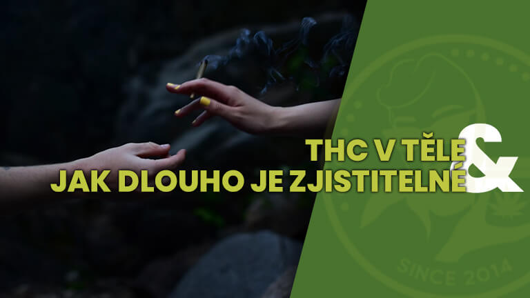 THC_V_TELE