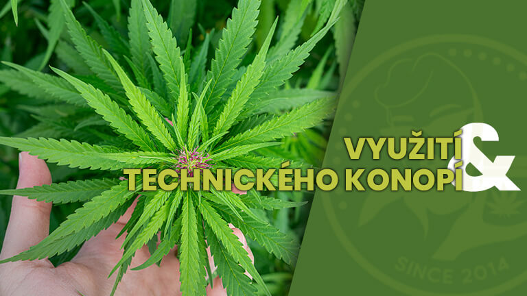 TECHNICKÉHO KONOPÍ _ 1