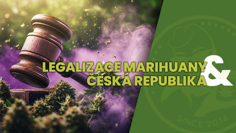LEGALIZACE_ČESKA_REPUBLIKA